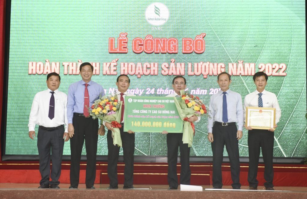 Năng suất vườn cây của Cao su Đồng Nai đạt trên 2,2 tấn/ha